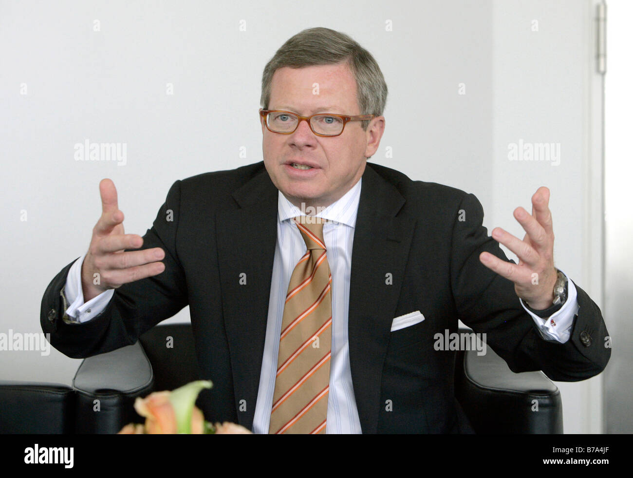 Wolfgang F. Driese, presidente del consiglio di amministrazione della DVB Bank AG, in Frankfurt am Main, Hesse, Germania, Europa Foto Stock