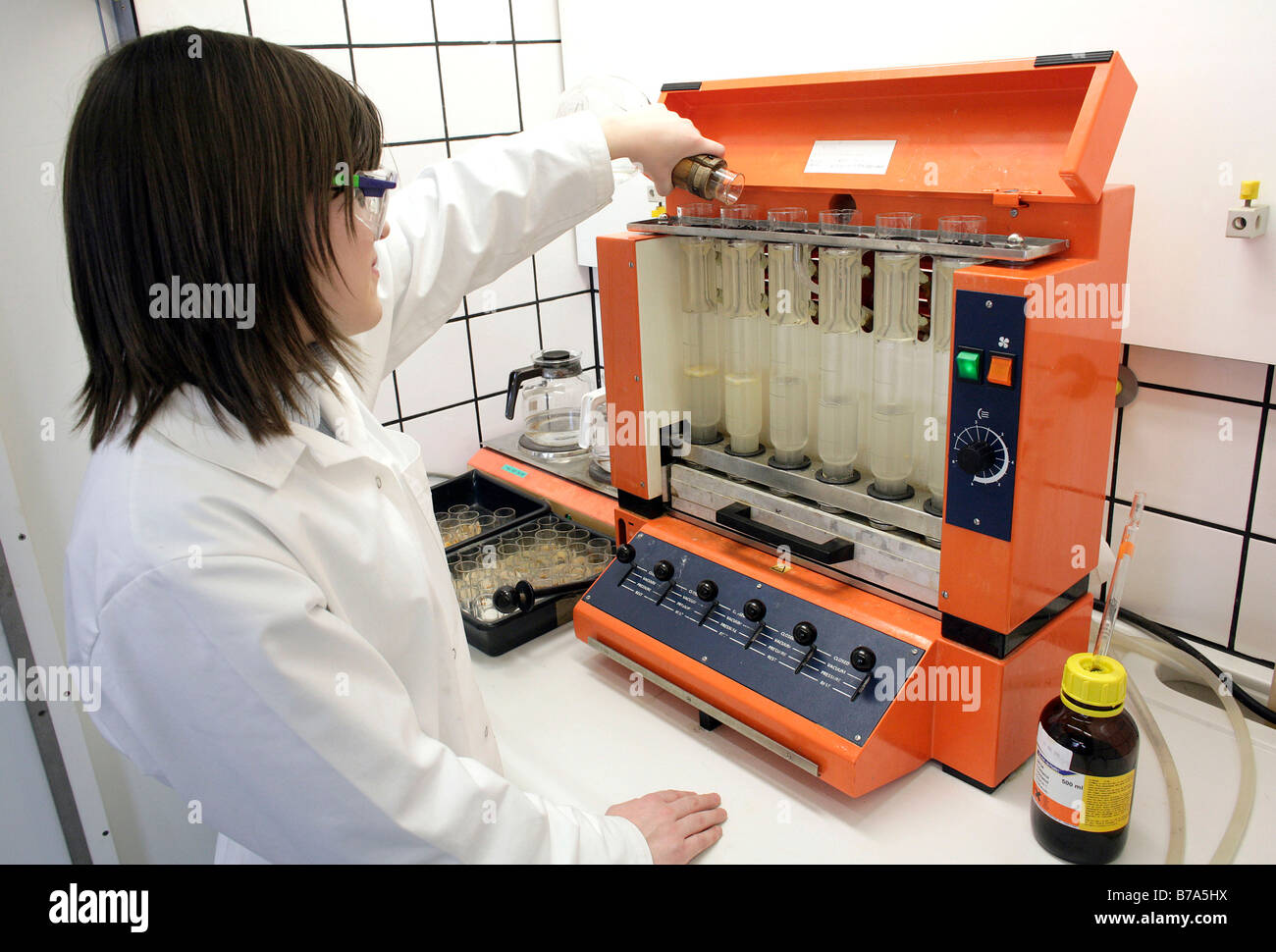 Determinazione del contenuto di fibra in prodotti alimentari mediante applicazione di uno speciale dispositivo da parte di un tecnico di laboratorio, tecnico di laboratorio in un Foto Stock