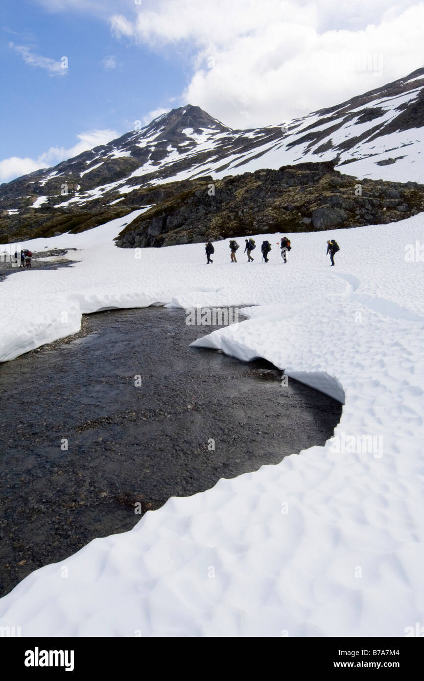 Un gruppo di alpinisti di fusione di attraversamento ponte di neve, Chilkoot Pass/Trail, British Columbia, Klondike Gold Rush, B.C., Canada, Nord Foto Stock