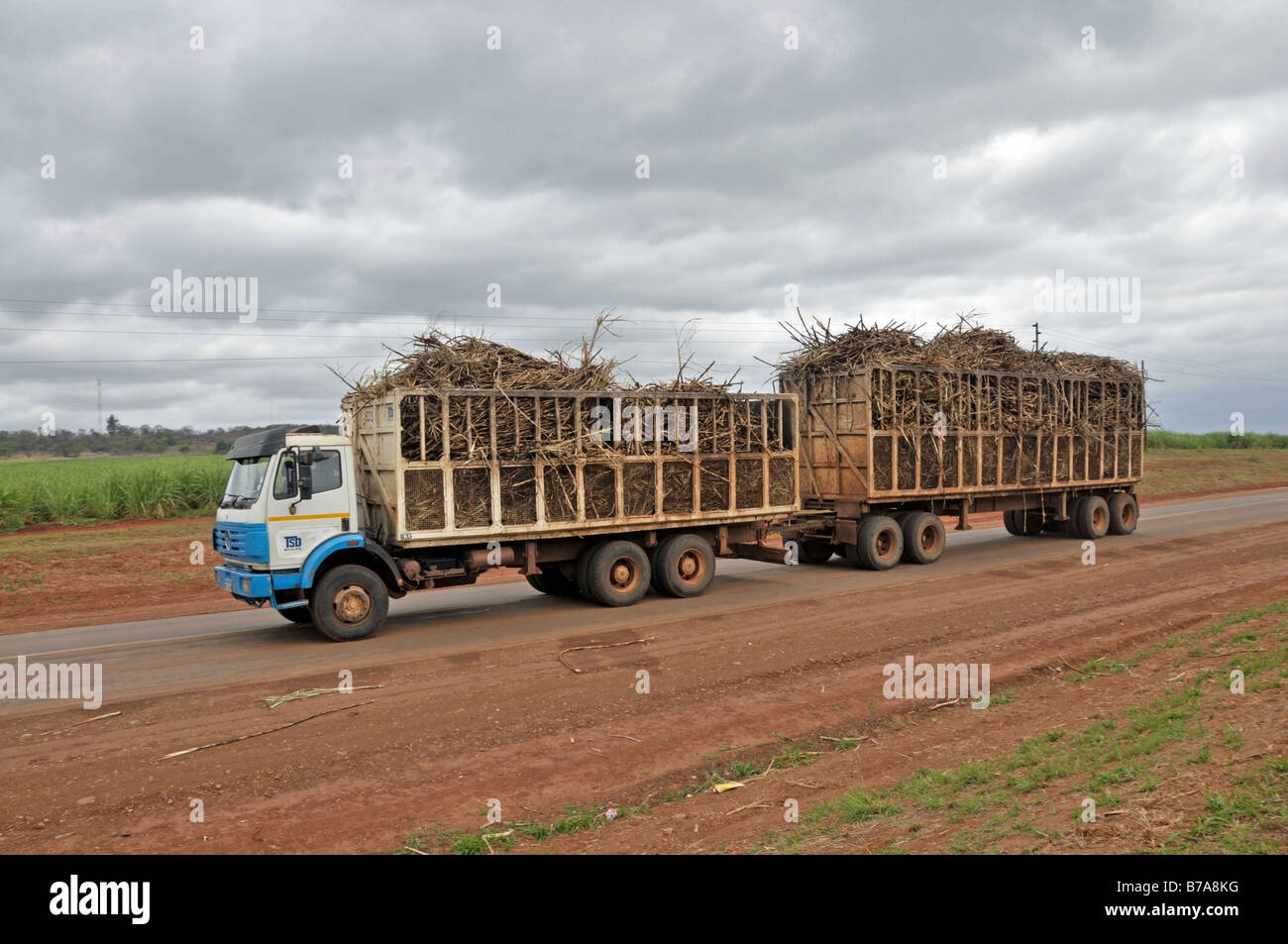 Autocarro il trasporto di canna da zucchero per etanolo e la produzione di biodiesel a Mpumalanga, Sud Africa e Africa Foto Stock