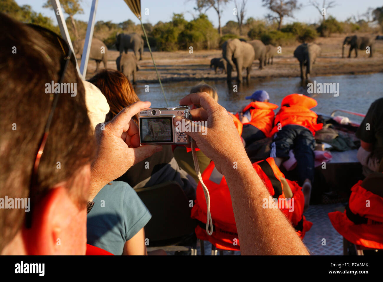 I turisti in un safari in barca la visualizzazione di elefanti sulle rive del fiume Chobe Foto Stock