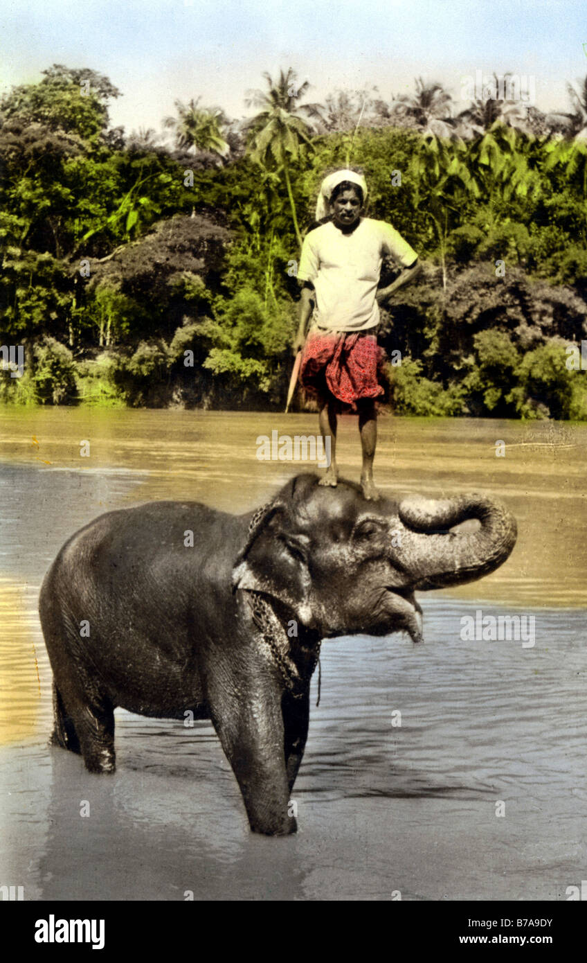 Foto storiche, persona indiano su elefante, India, ca. 1910 Foto Stock