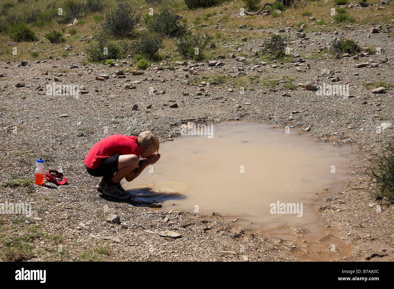 Un adolescente assetato escursionista acqua potabile da una pozzanghera rainfilled Foto Stock