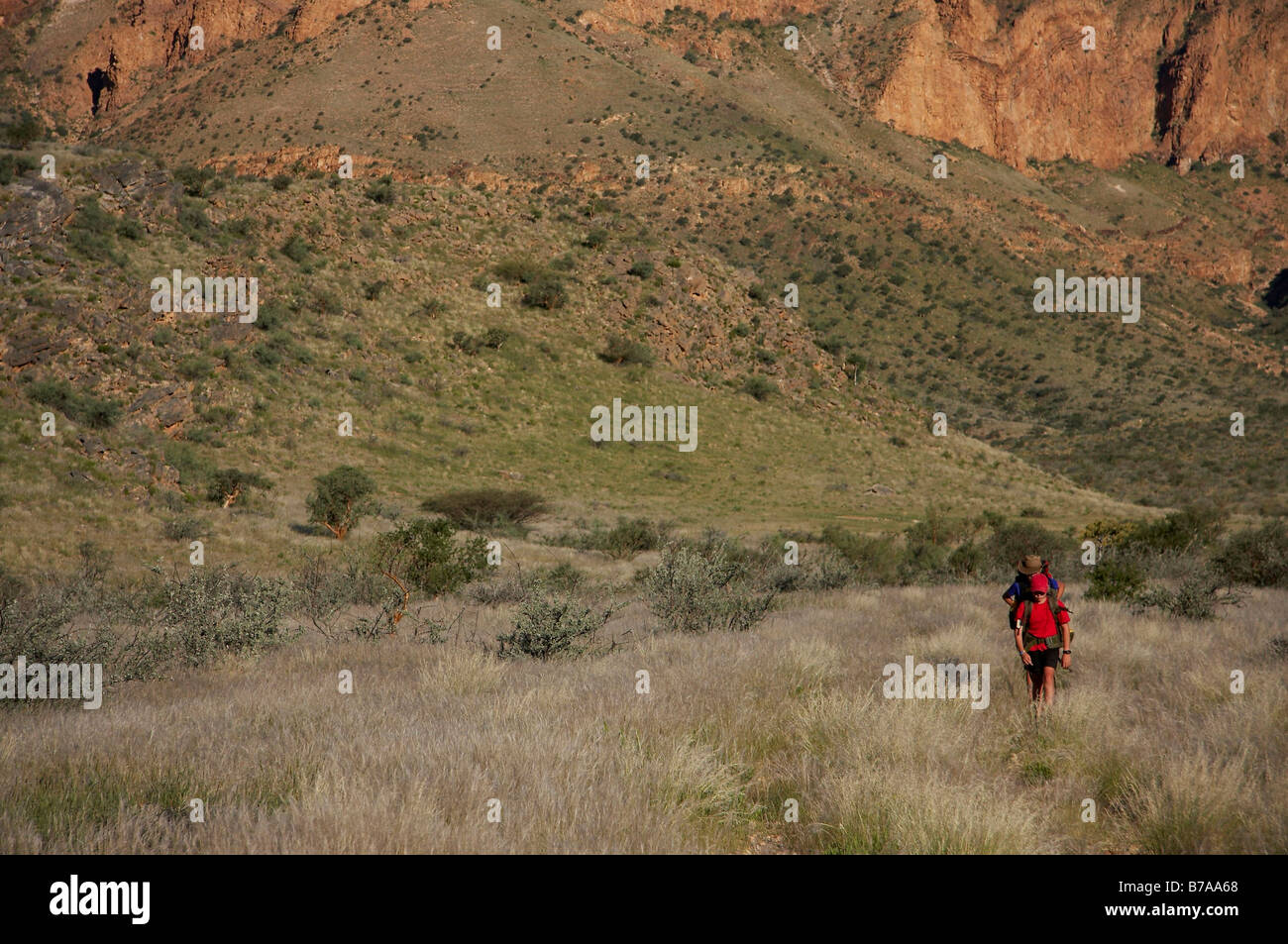Un escursionista con uno zaino camminando in una valle erbosa nel Naukluft mountains Foto Stock
