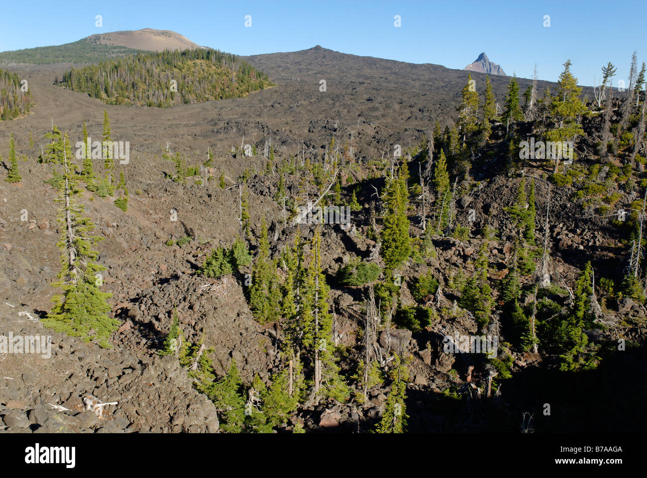 Paesaggio di lava, Mount Washington del vulcano e la Belknap cratere, McKenzie Pass, gamma a cascata, Oregon, Stati Uniti d'America Foto Stock