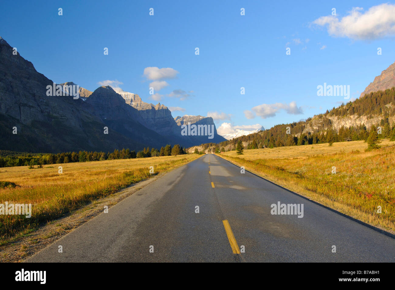 Andare al Sun Road, il Parco Nazionale di Glacier, Montana, USA, America del Nord Foto Stock