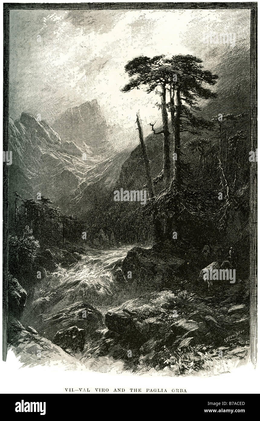 Viro paglia orba valle di montagna di montaggio albero di foresta fluviale Boschi di flusso di acqua la Corsica ha diversi fiumi, con alcuni affluenti. T Foto Stock