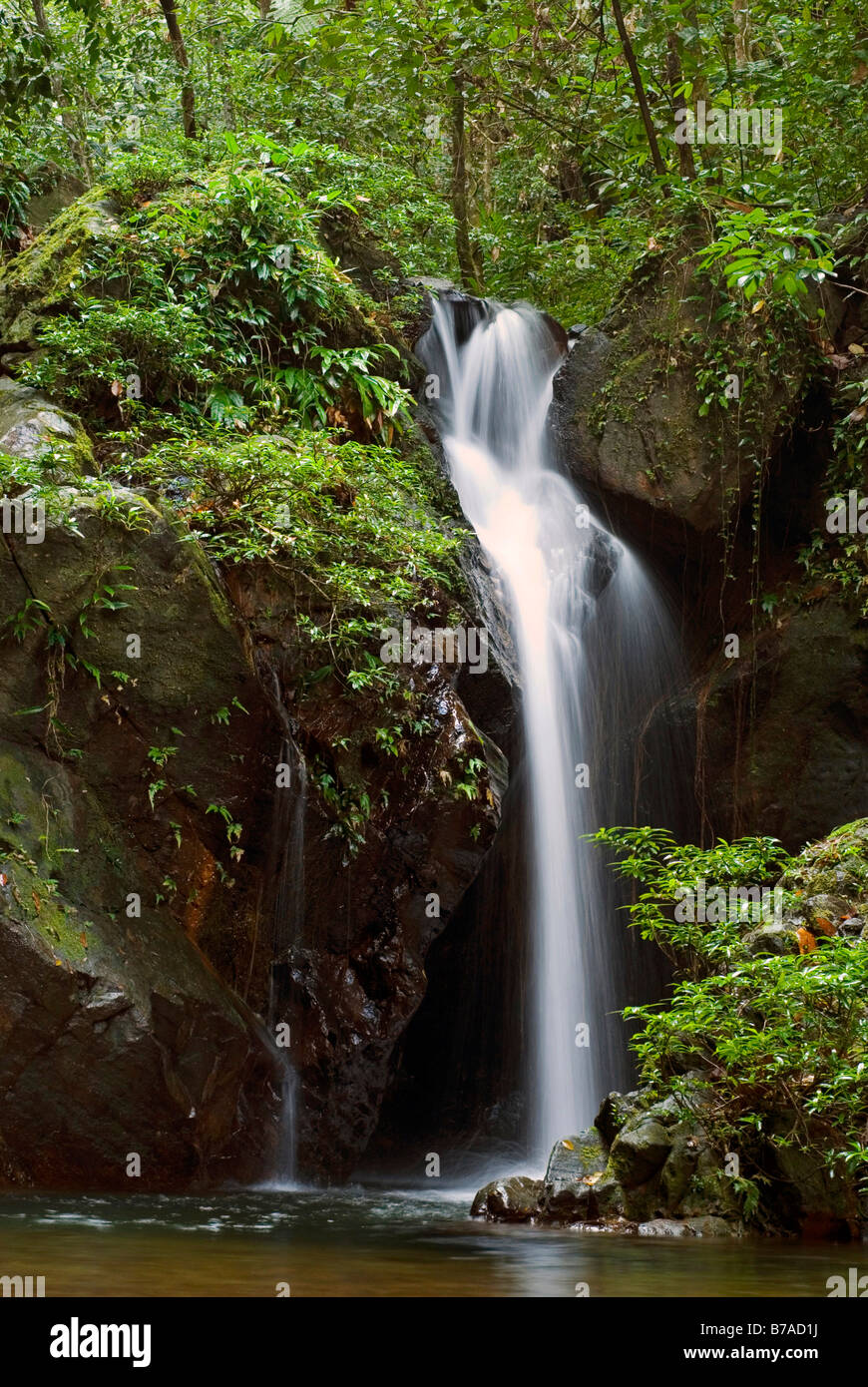 Cascate nella foresta pluviale del Cockscomb Basin Wildlife Sanctuary, Belize, America Centrale Foto Stock