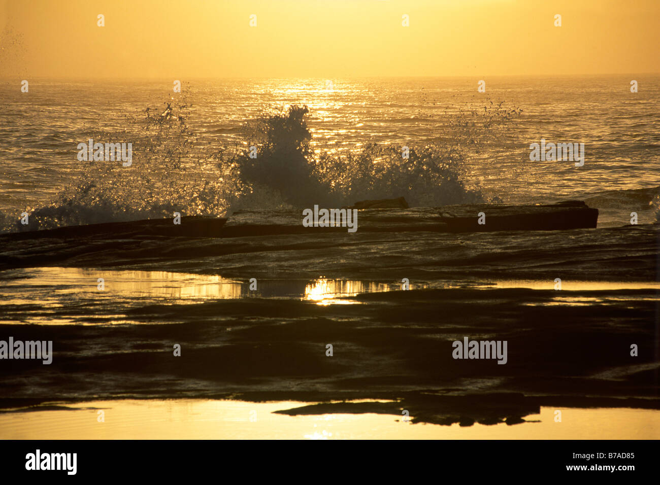 Onde e surf al tramonto in Bundjalung National Park, New South Wales, Australia Foto Stock