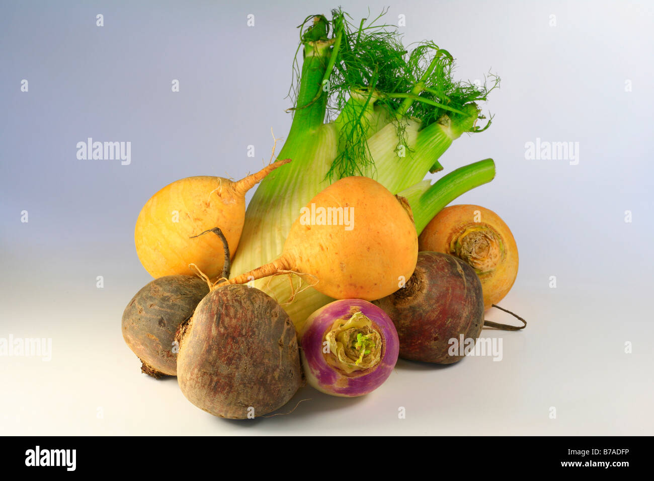 Verdure miste, svedesi o rape gialle, navoni, barbabietole e sedano Foto Stock