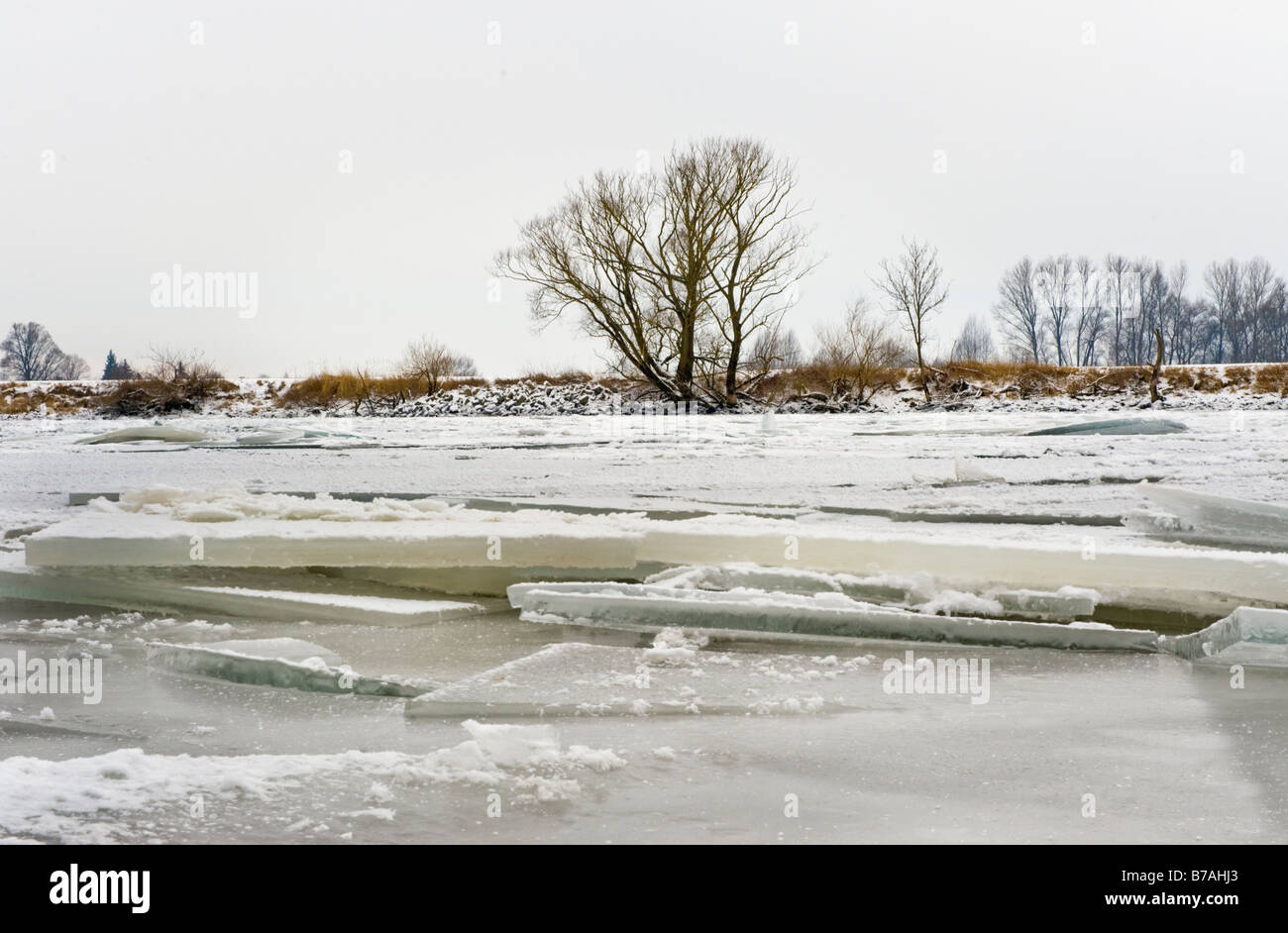 Floe floes congelati natura paesaggio terra Danubio donau fiume inverno inverno Neve bianco ghiaccio freddo gelido acqua fredda alberi Foto Stock