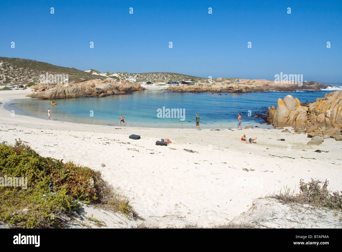 In Tietiesbaai Columbine riserva naturale protetta da massi dalle onde dell'Oceano Atlantico Western Cape Sud Africa Foto Stock