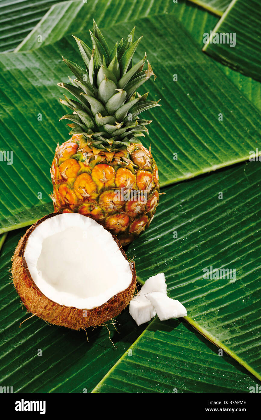 Coconut split in half immagini e fotografie stock ad alta risoluzione -  Alamy