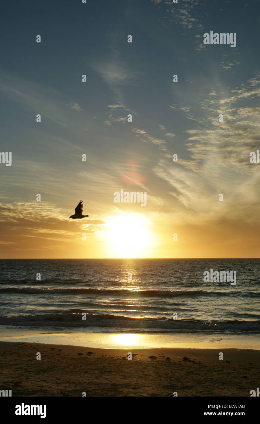 Estate tramonto sulla spiaggia di Glenelg, Adelaide, Australia del Sud. Foto Stock