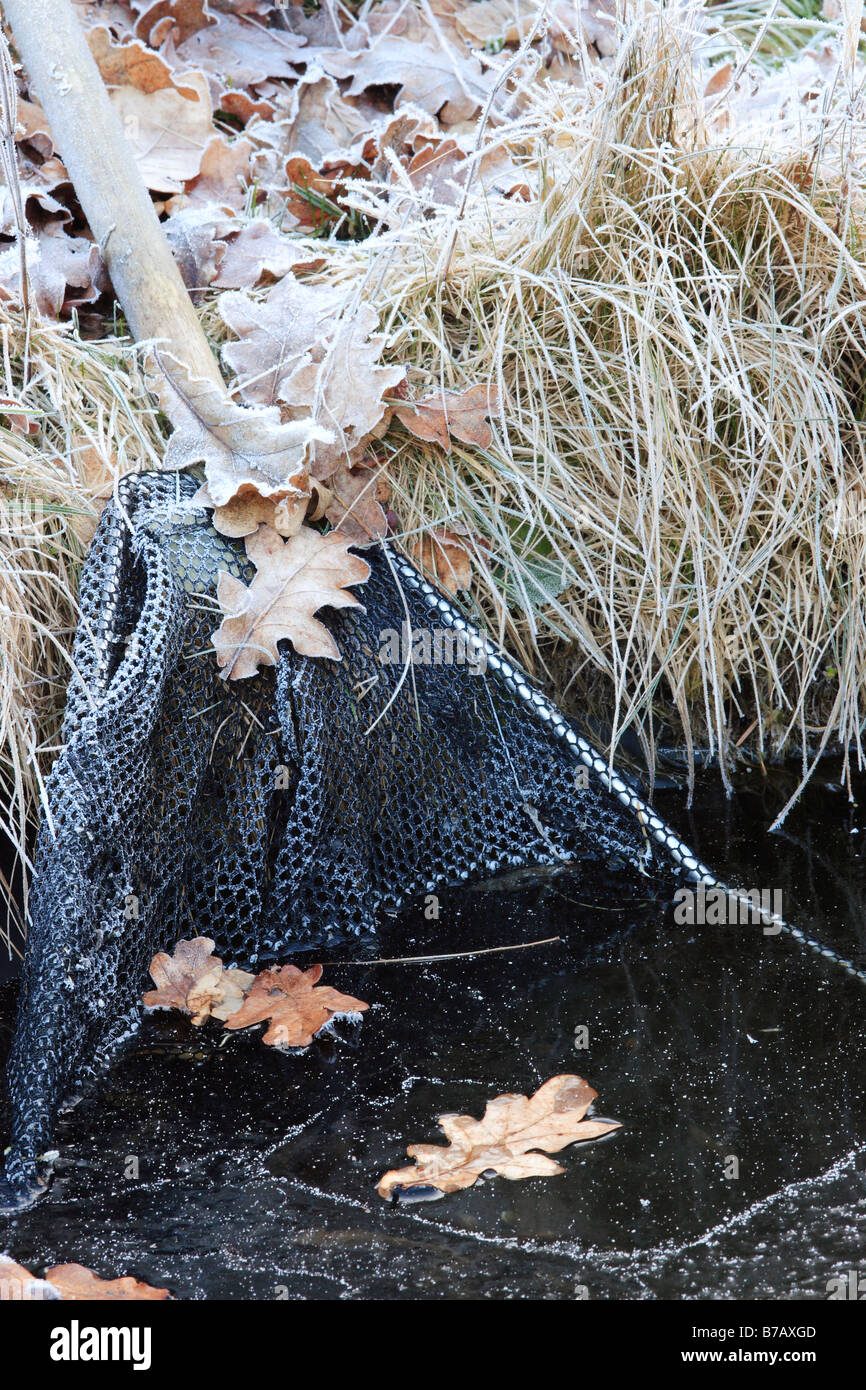 Net in stagno Icey Foto Stock