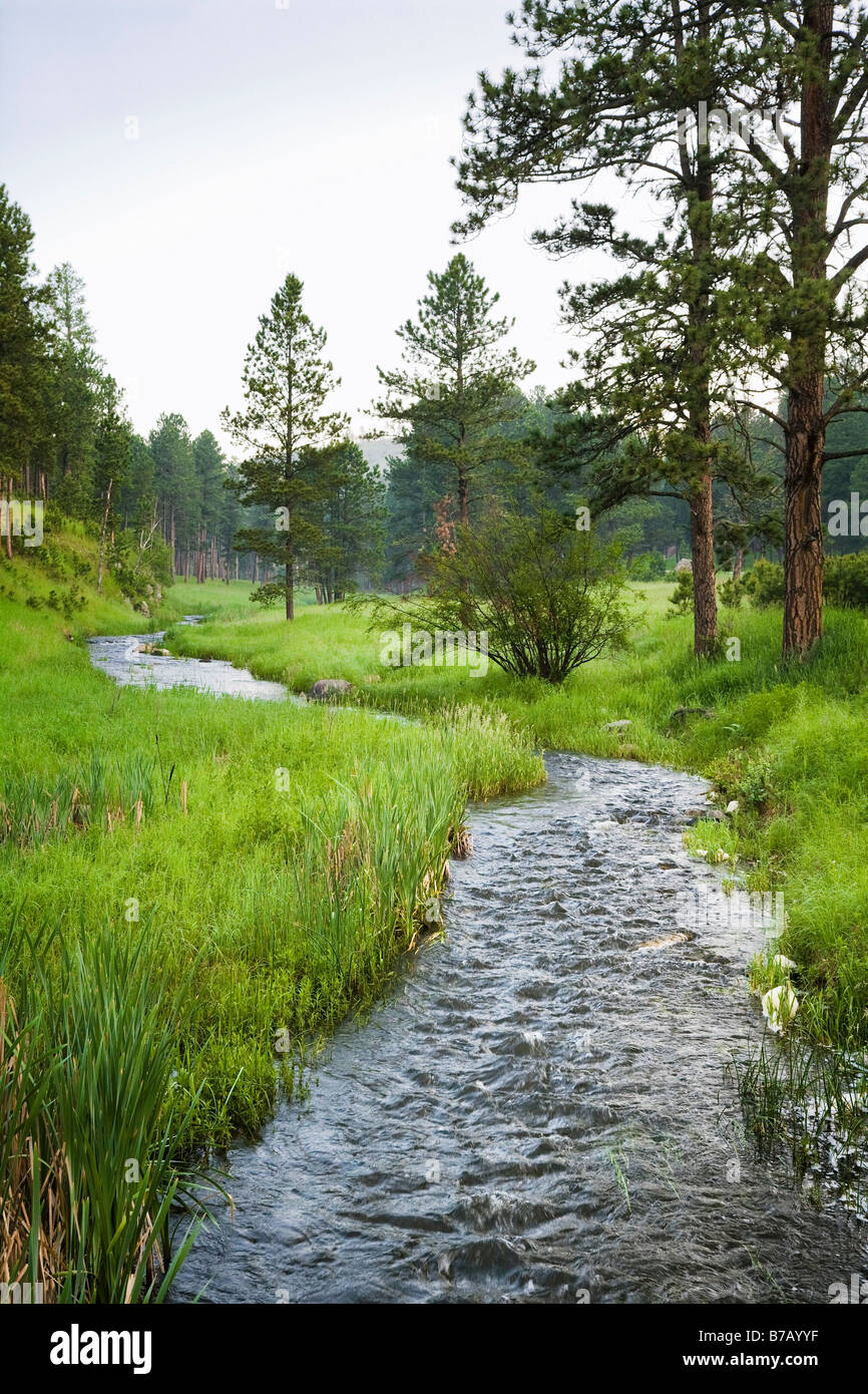 Stream, parco nazionale della Grotta del Vento, il Dakota del Sud, STATI UNITI D'AMERICA Foto Stock