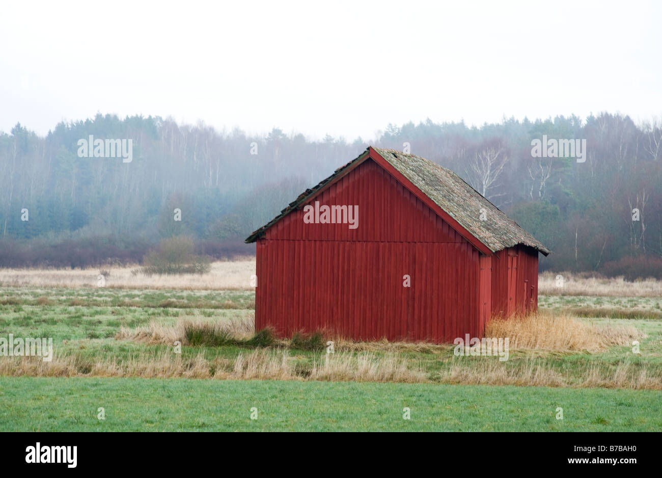 Granaio rosso, Svezia Foto Stock
