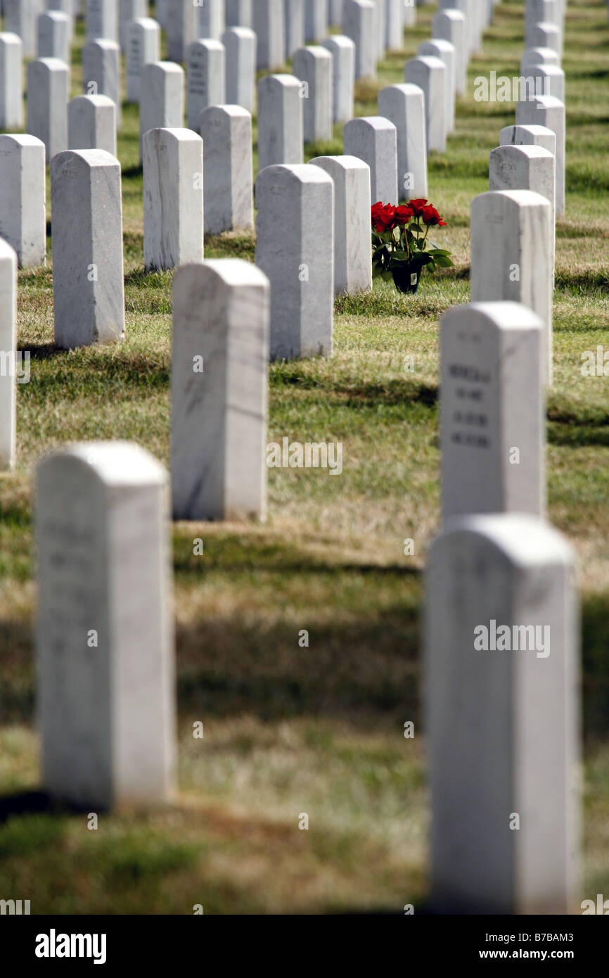 Lapidi, il Cimitero Nazionale di Arlington, Arlington, Virginia, Stati Uniti d'America Foto Stock