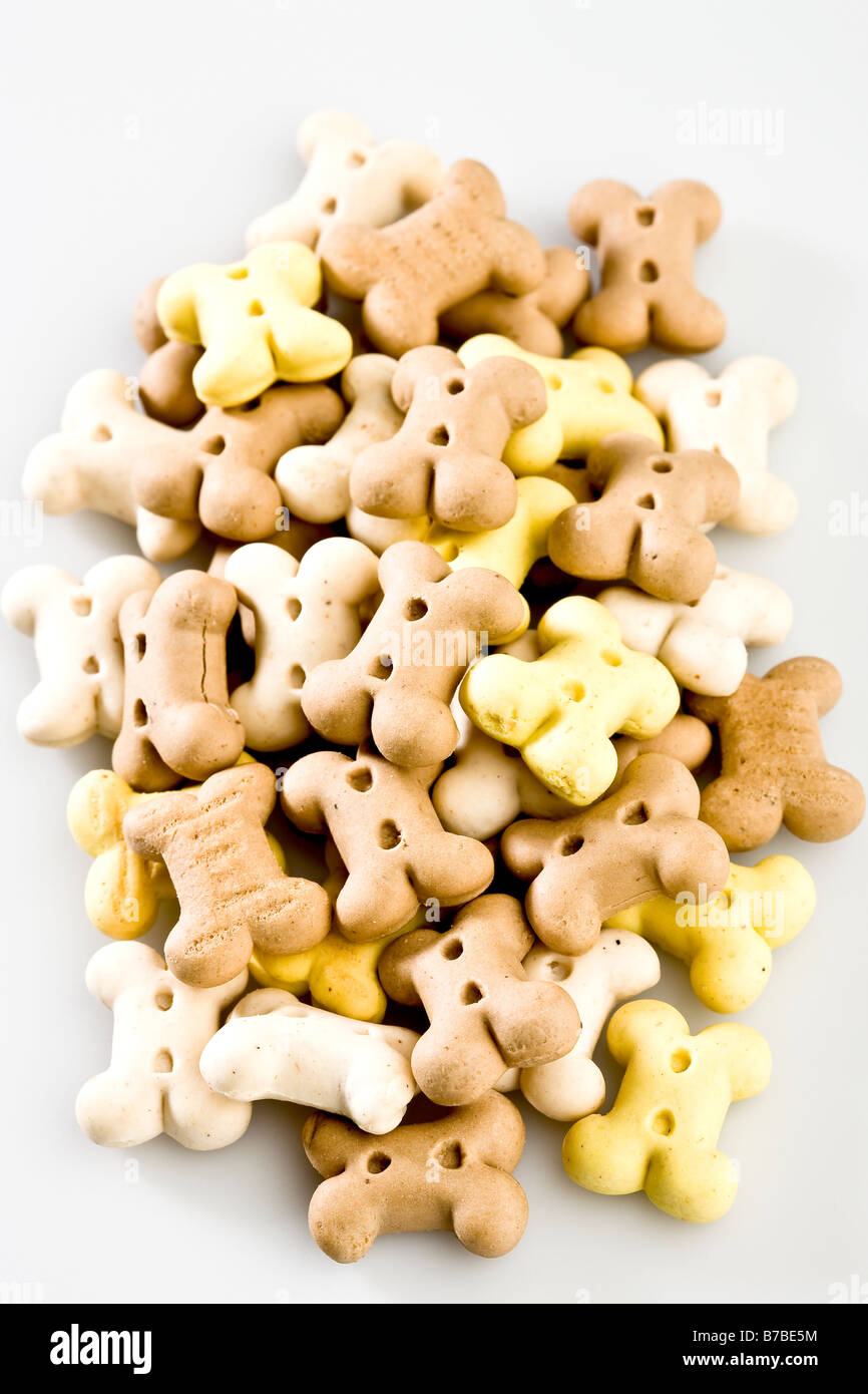 Biscotti per cani Foto Stock