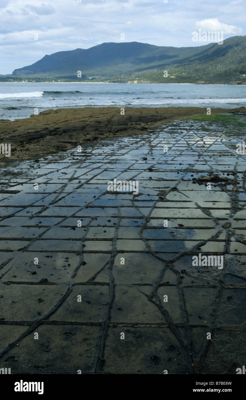 Pavimentazione a mosaico su Tasmania Foto Stock