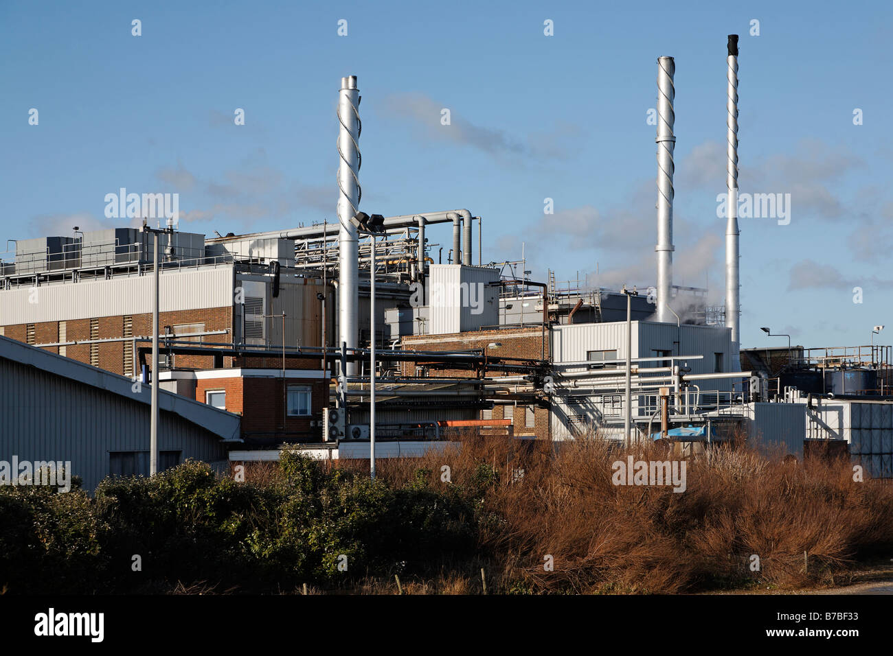 Birds Eye stabilimento alimentare Lowestoft Suffolk in Inghilterra Foto Stock