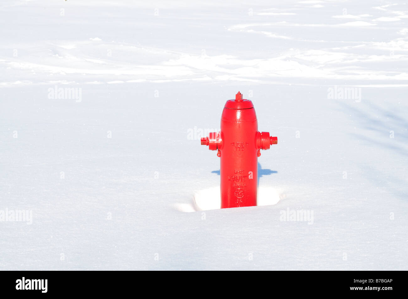 Idrante di fuoco nella neve Foto Stock