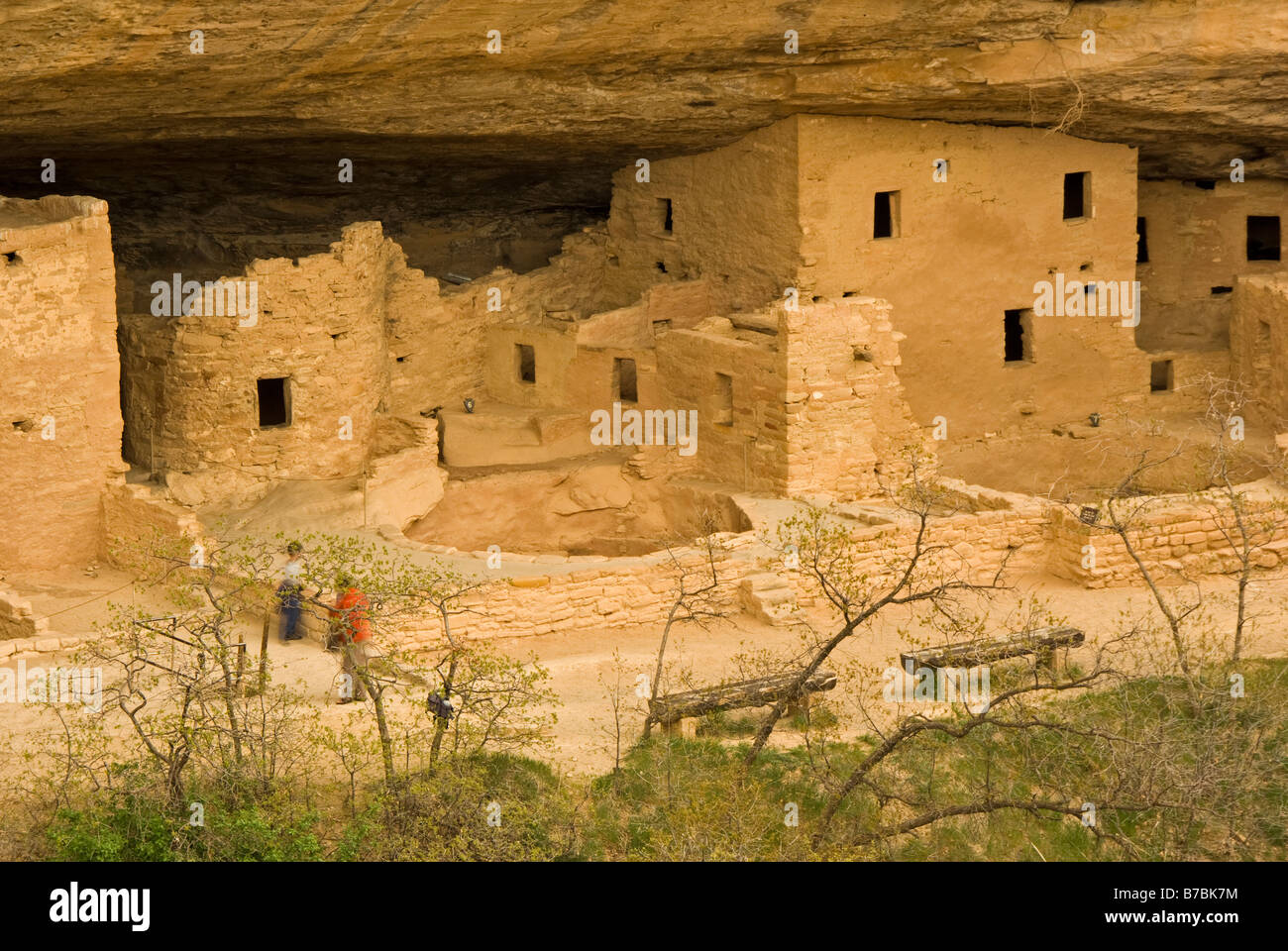 Stati Uniti Colorado Cortez Mesa Verde National Park Spruce Tree House 12 secolo dei Pueblo ancestrali cliff dwellings rovine e reconstru Foto Stock