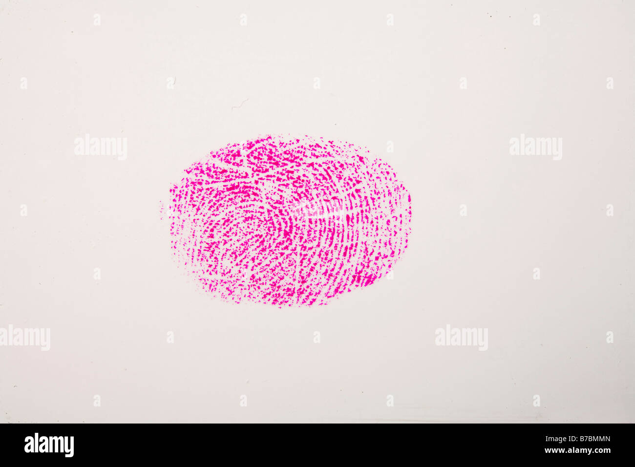 Whorl impronte digitali Foto Stock