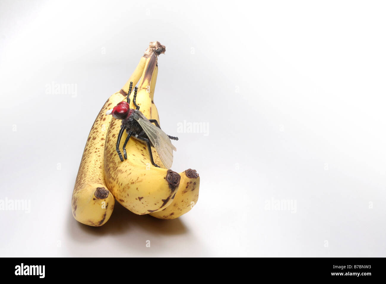 Fly (finti) sulle banane Foto stock - Alamy