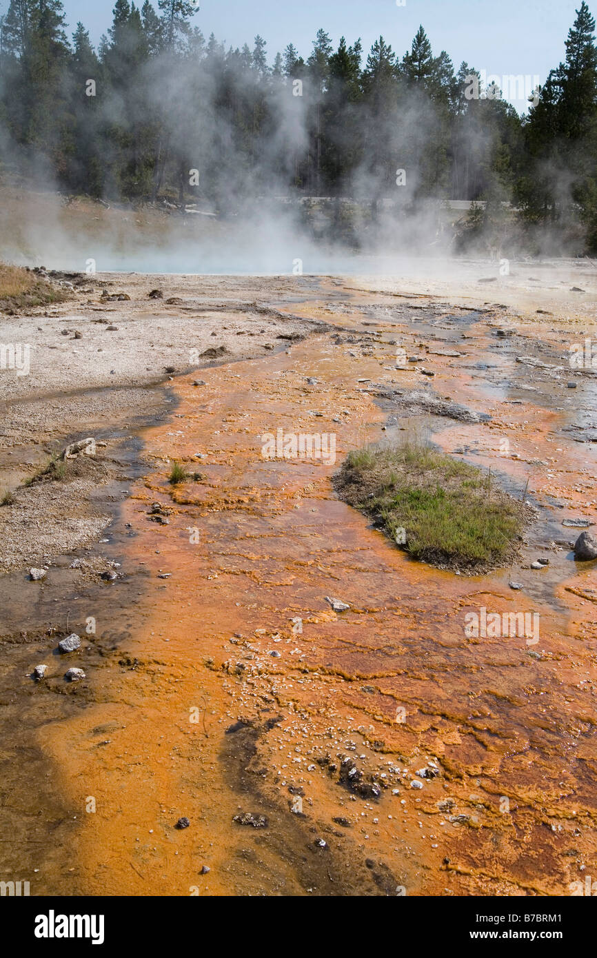 Parco Nazionale di Yellowstone Foto Stock