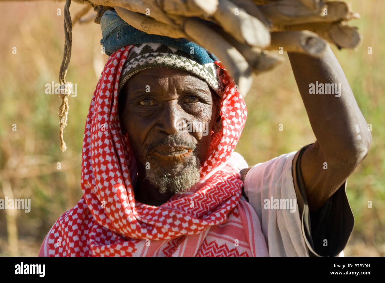 Anziani Dogon uomo trasportare il legno sulla sua testa nel villaggio di Yendouma nel Pays Dogon del Mali Foto Stock