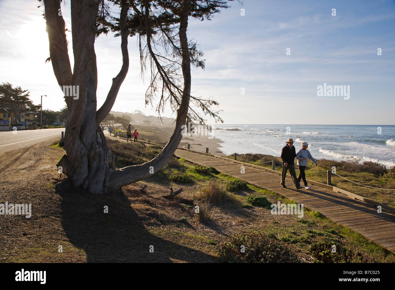 I visitatori di camminare sulla passerella di legno passato un albero Cypruss, San Simeone del Parco Statale di San Simeone, CALIFORNIA, STATI UNITI D'AMERICA Foto Stock