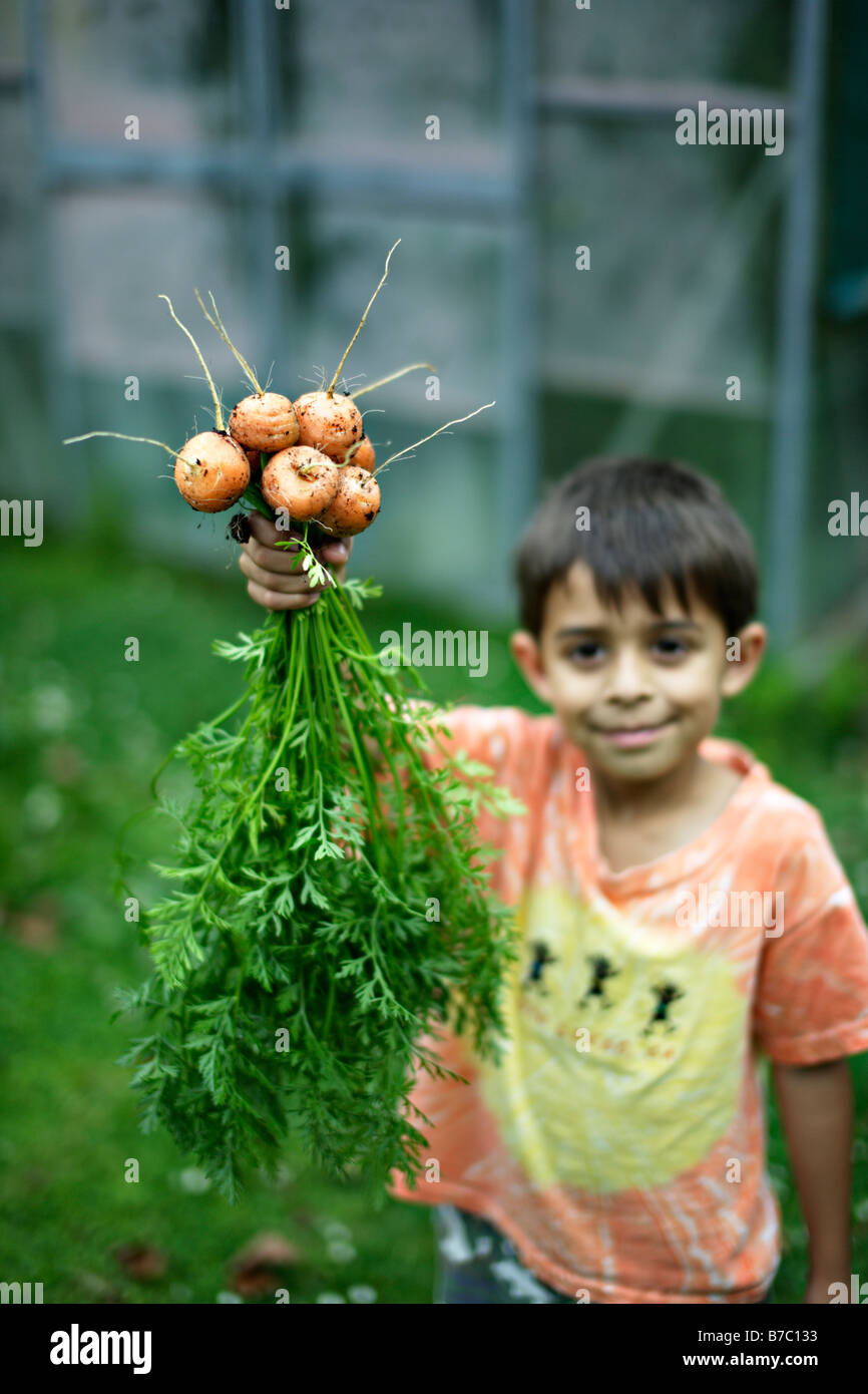 6 anno vecchio ragazzo detiene il mazzetto di carote Foto Stock