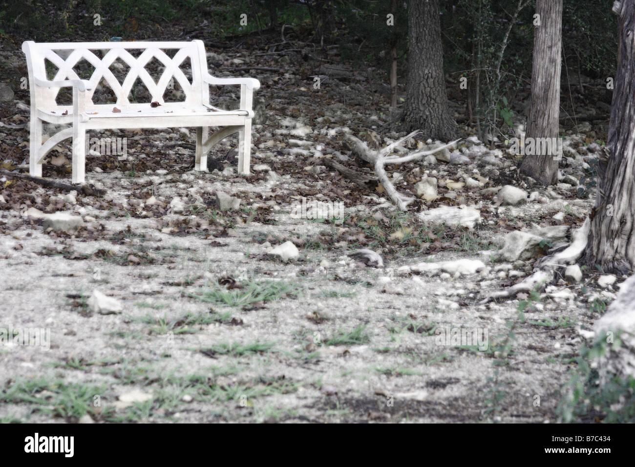 Un banco vecchio seduto tra i grandi alberi di quercia in caduta vicino al bordo di un lago per la visualizzazione Foto Stock