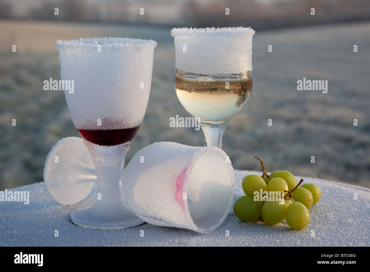 Mattina congelati dopo la notte prima parte smerigliata resti romantica UK rurale Foto Stock