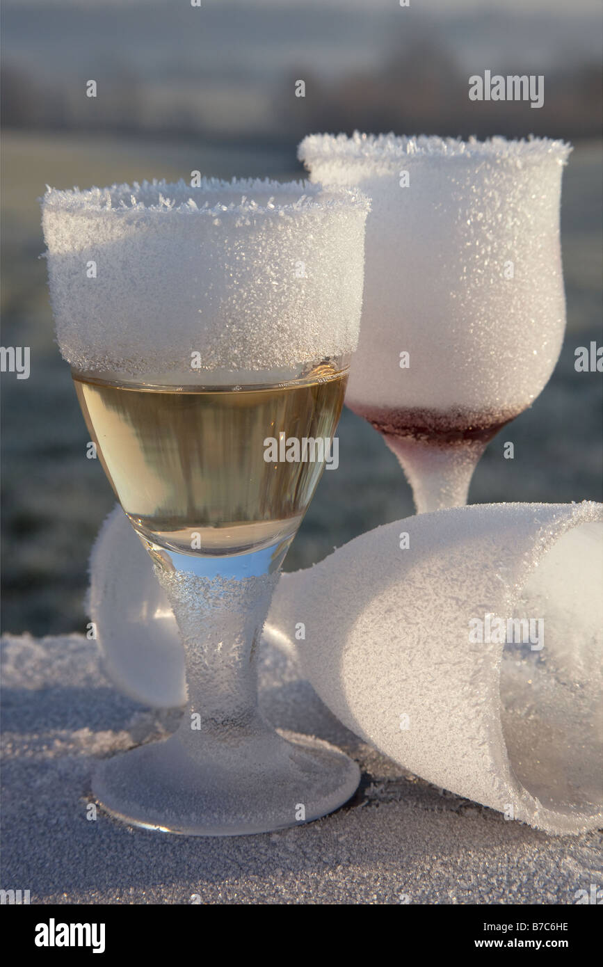 Mattina-dopo-notte-prima smerigliati e rotto il vetro di vino partito rimane in campagna congelati REGNO UNITO Foto Stock