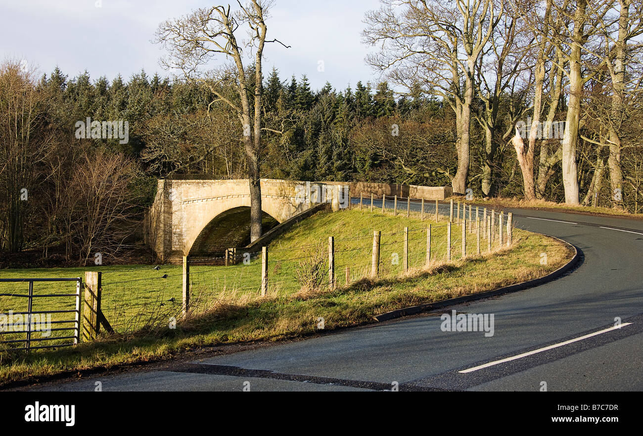 Tipico ponte in Scottish Borders. Foto Stock