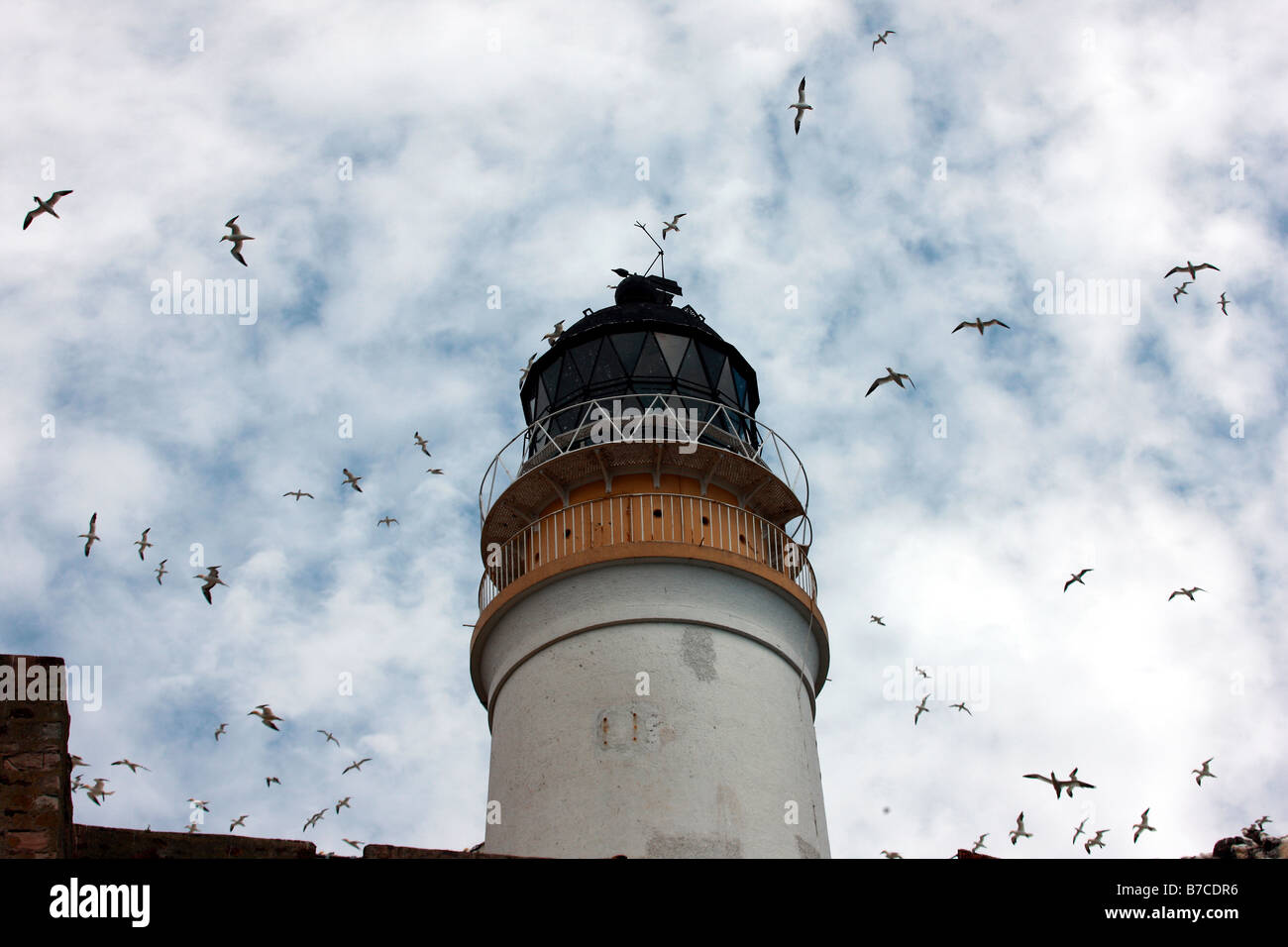 Faro sul Bass Rock Foto Stock