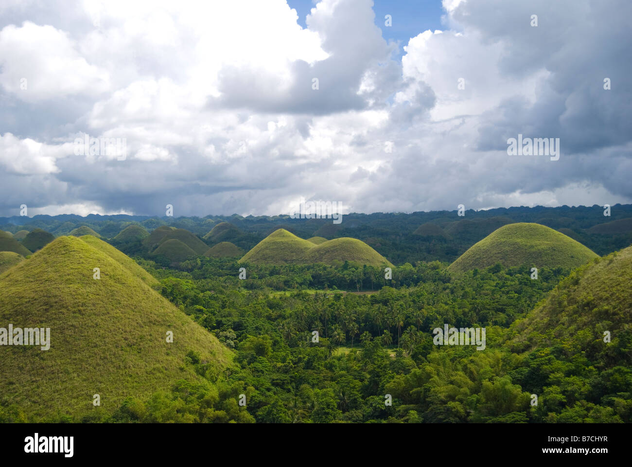 Il Chocolate Hills geologico nazionale monumento, Carmen, Bohol, Visayas, Filippine Foto Stock