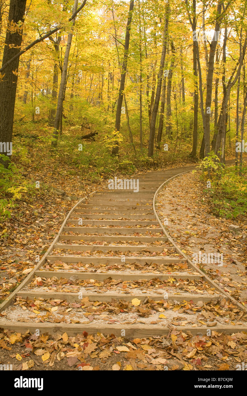 WISCONSIN - sentiero a Parnell torre di osservazione a Kettle Moraine State Forest. Foto Stock