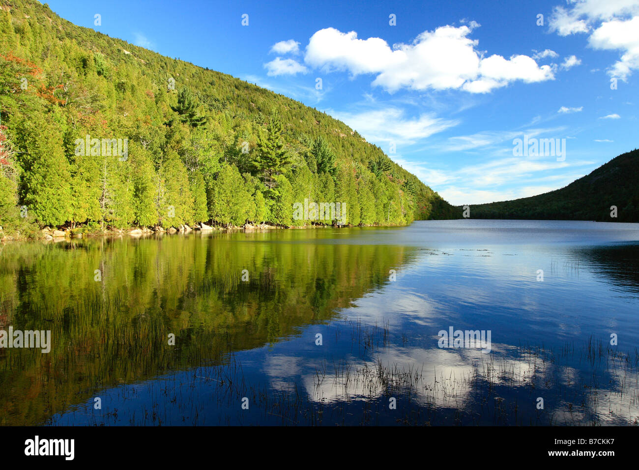 Bubble stagno nel Parco Nazionale di Acadia sull'isola di Mount Desert nel Maine negli Stati Uniti Foto Stock