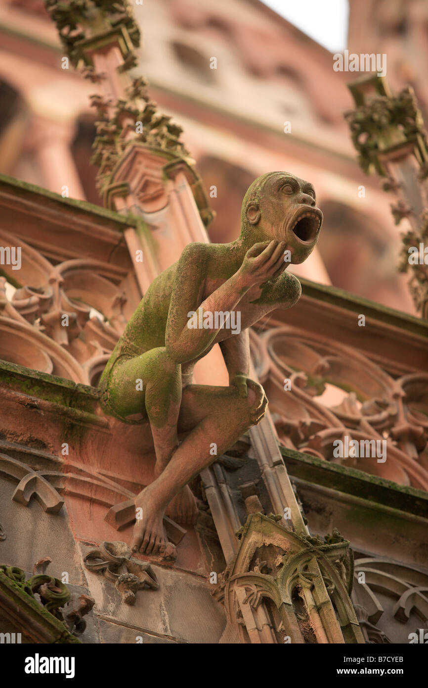 La CATTEDRALE DI NOTRE DAME STRASBURGO GARGOYLE Foto Stock