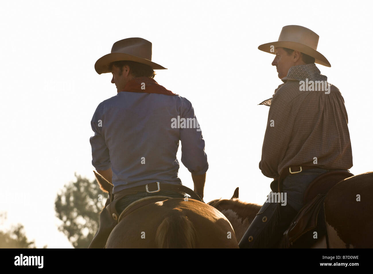 Vista posteriore di due cowboy a cavallo Foto Stock
