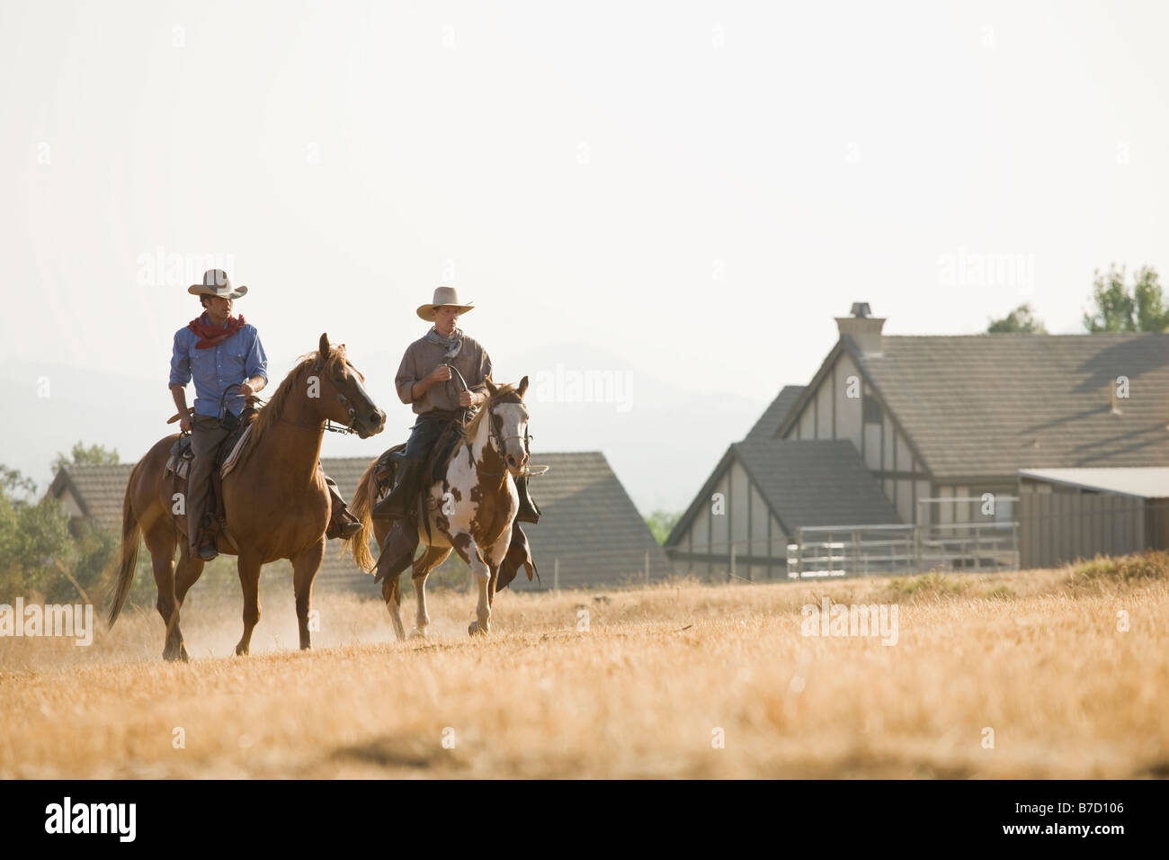 Due cowboy a cavallo attraverso un campo Foto Stock