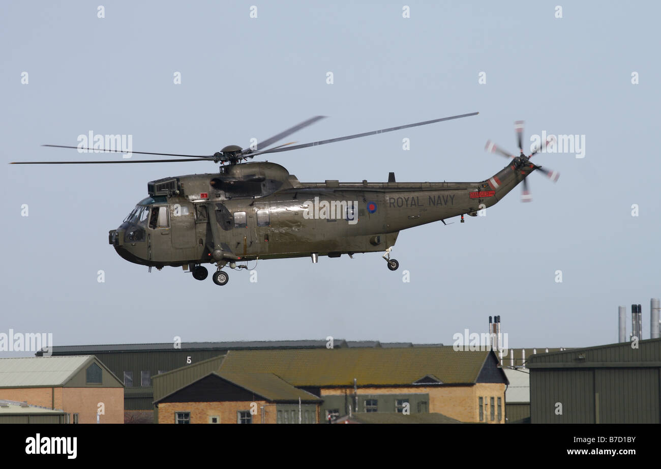 La British Royal Navy Westland Sea King HC4 trasporto truppa elicottero volando a bassa quota Gennaio 2009 Foto Stock