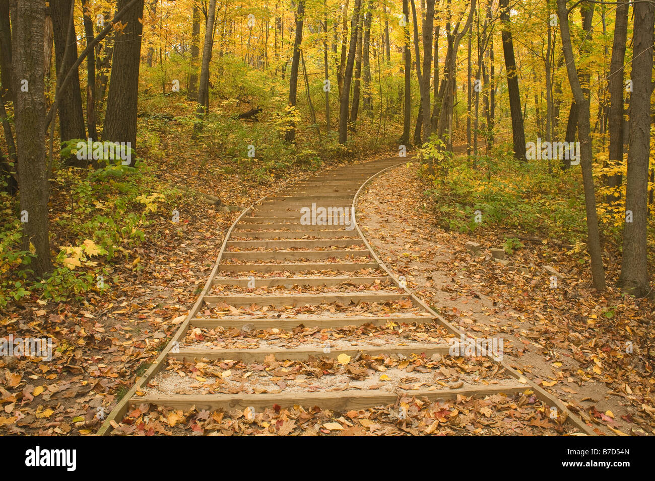 WISCONSIN - passi sul sentiero a Parnell torre di osservazione a Kettle Moraine State Forest. Foto Stock