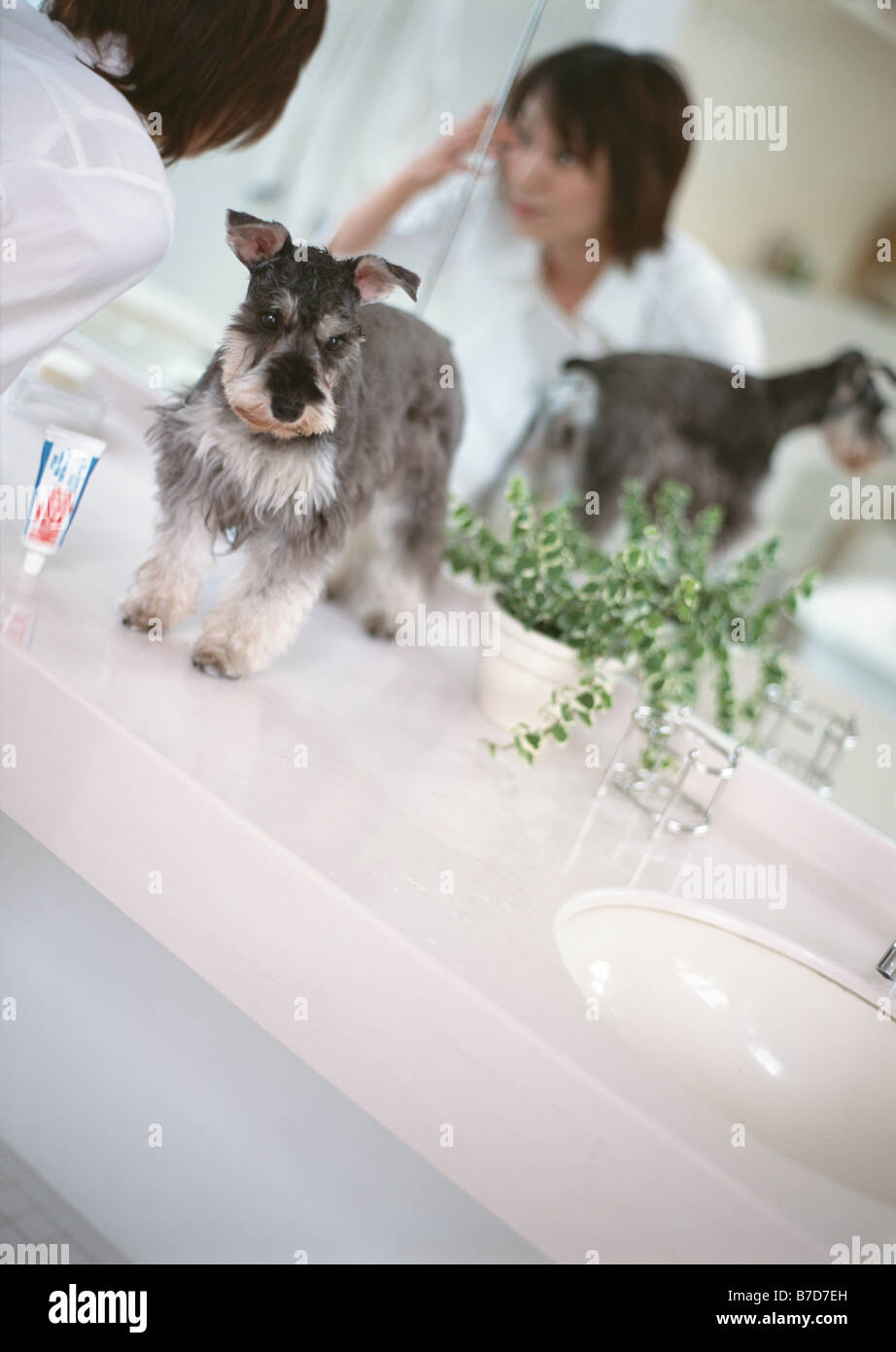 Donna in corrispondenza dello specchio con il cane Foto Stock