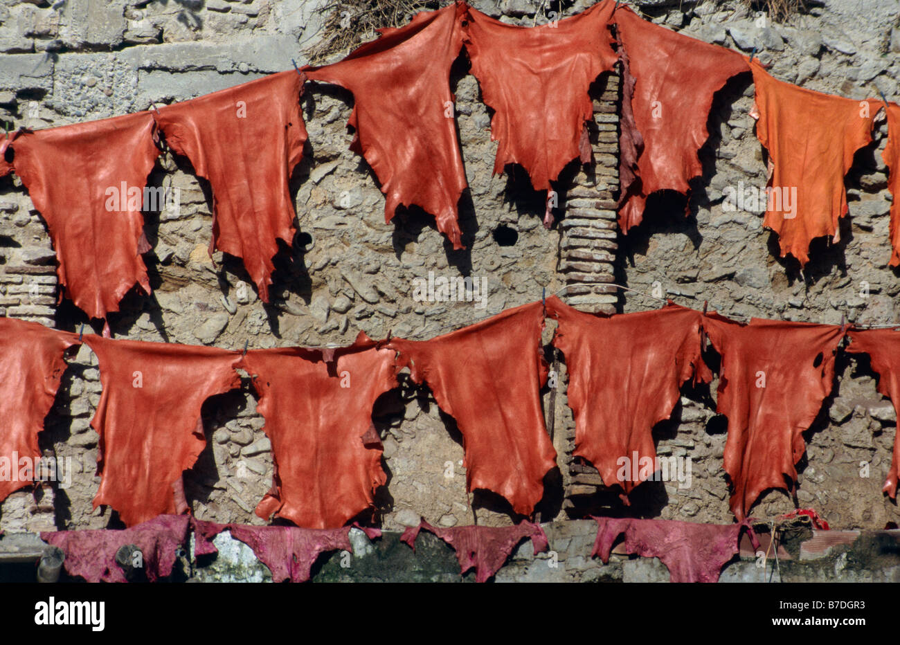 Concerie Souk Dabbaghin Street pareti pelli conciate sparse asciugare in sun arancia rossa e brillante color FEZ MAROCCO Foto Stock