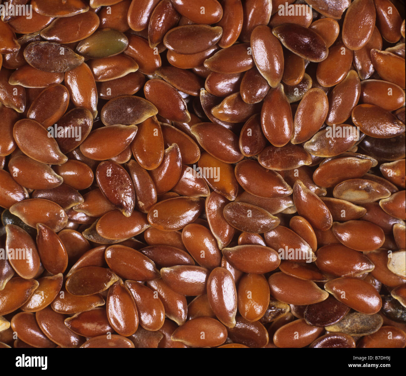 Rosolare i semi di lino o semi di lino come venduto in salute negozi di alimentari Foto Stock