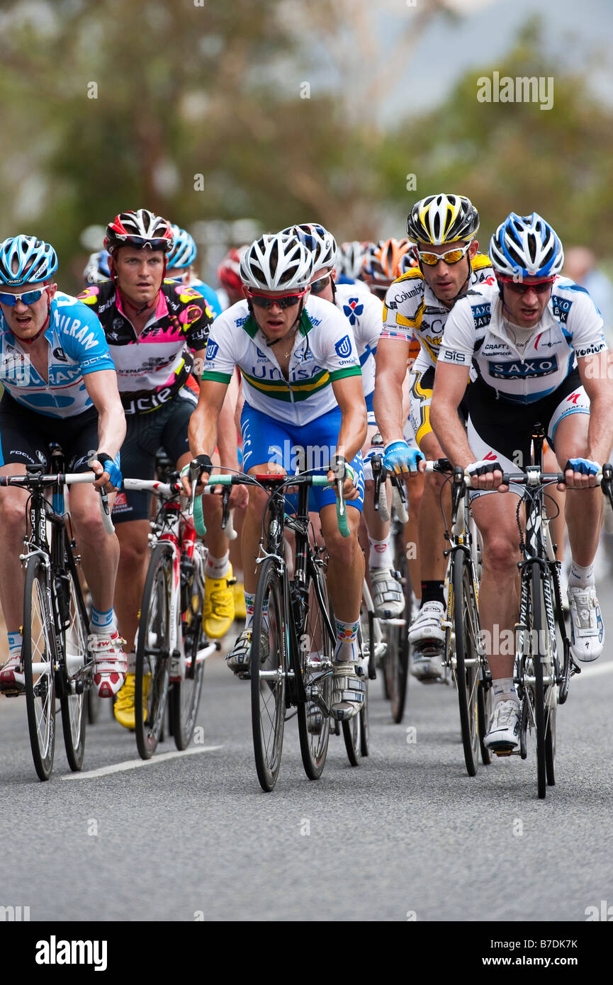 Il principale peloton climbing Wickhams Hill Road al re della montagna check point stage 3 Tour Down Under 2009 Foto Stock